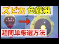 【ポケモンSV】色ハラバリーに進化する色違いズピカ！厳選場所とサンドイッチの作り方！大量発生なしでも厳選可能！【色違いハラバリー】