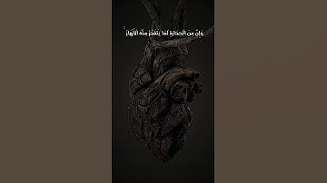 {ثم قست قلوبكم من بعد ذلك}#سورة البقرة #مشاري_العفاسي