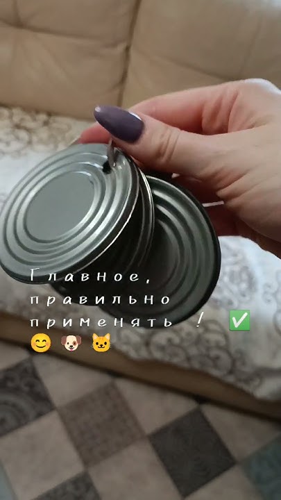 Отрицательное подкрепление для собак и кошек Почти диски Фишера, только ...