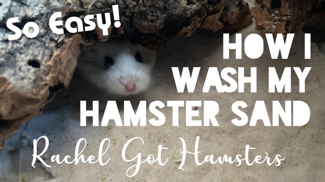 Hamster Products I Currently use 