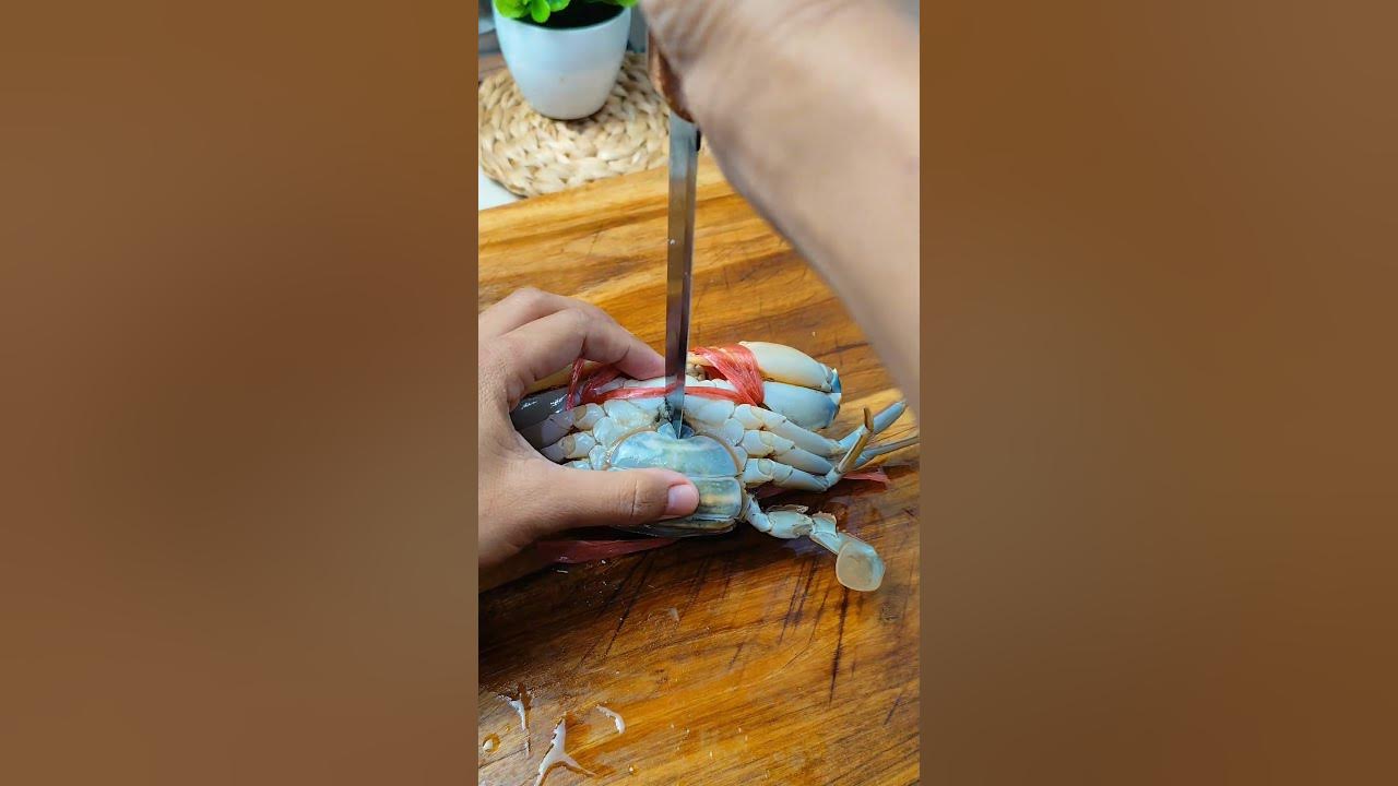 Cara membersihkan kepiting #shortsvideo #food