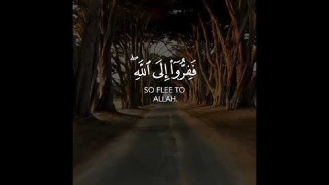 القارئ : احمد النفيس / { ففروا إلى الله } سورة : الذاريات