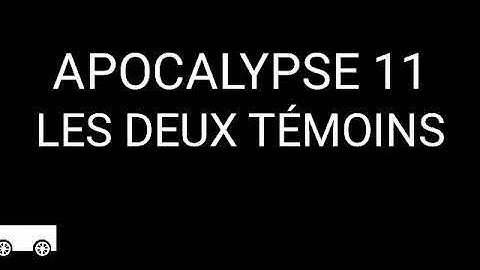 LDT APOCALYPSE 11 LES DEUX TÉMOINS OF GOD