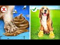 ZENGİN VE METELİKSİZ EVCİL HAYVANLAR || 123 GO! TRENDS Kedi &amp; Köpekler İçin Aletler &amp; Komik Tüyolar