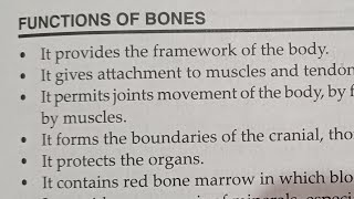 Functions Of Bones.