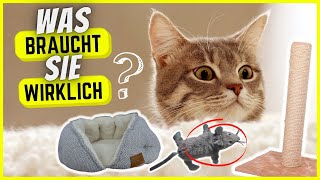 Katze in der Wohnung? DAS braucht deine Mieze WIRKLICH