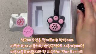 강아지 진드기 퇴치제 추천! 무서운 진드기 예방하기🐶      #무료협찬 #멍가드 #강아지진드기퇴치제