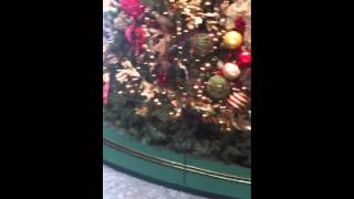 Christmas Tree Train up 2011
