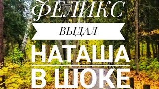 видео: Чем Felix & the Cat удивил Наташу Пикник картинка: Чем Felix & the Cat удивил Наташу Пикник