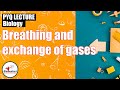 Breathing & Exchange of Gases | Revision PYQ Series L - 17 | NEET Endgame 2021 | Dr. Geetendra Sir