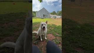 2108434767777929188img 1002