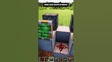 Double Block Swapper in Minecraft! #shorts