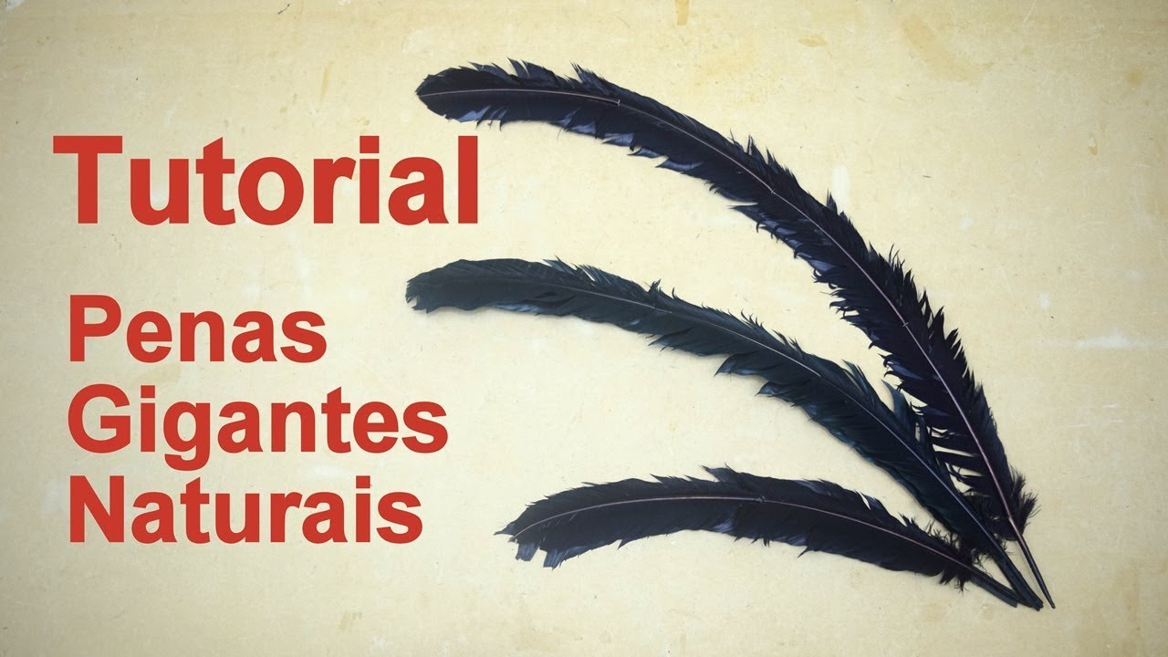 Tutorial Como Fazer Penas Gigantes Naturais - Dicas de Cosmaker