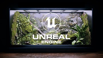 Terrarium in UNREAL ENGINE 5 (4K): Aqueous Eden, Life Beneath the Mist - UE5 Cinematics