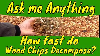 How fast do wood chips decompose