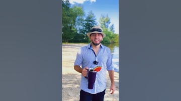 🚀 fireTMS: smart transport management, now with a summer bonus! #TSL #transport #AI