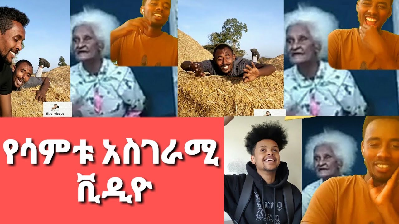 #free life #የሳምንቱ አስገራሚ ቲክቶክ