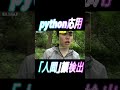 山行って虫食べる人を検出した(yolo-face、python、物体検出、画像認識、フィジカルAI、動体検知、機械学習)#ultralytics