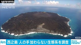 西之島“手つかず”の生態系　調査へ出発(19/09/01)