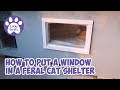 How To Put A Window In A Feral Cat Shelter * S4 E46 * DIY Feral Cat Shelter