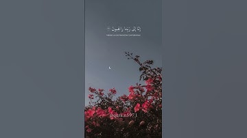 "عسى ربنا ان يبدلنا خيراً منها" القارئ: إسلام صبحي