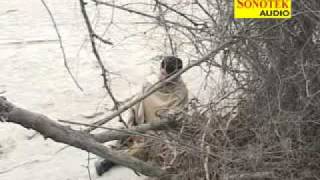 Surat Nadan Teri Dhakad Chhorauttar Kumar.flv