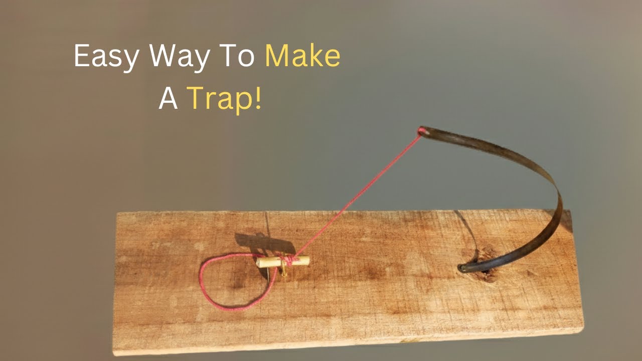 Wow! Genius Trap Mechanism Built from a Saw Blade Bow and Rope Loops | Smart Mechanical DIY Setup