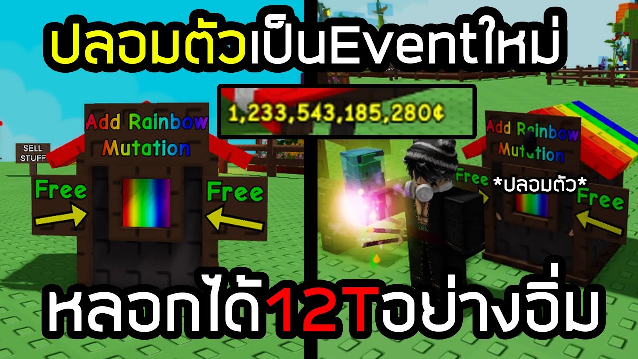 ปลอมตัวเป็นตู้กิจกรรมใหม่ หลอกผลแคนดี้12t อย่างคุ้ม Grow a Garden