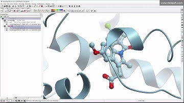 Ligand Docking with MolSoft