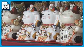1度だけでなく3度の福願う「来る福招き猫まつり」　三重県伊勢市の「おかげ横丁」で1万点を展示販売