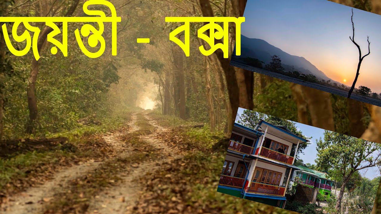 Exploring Jayanti & Buxa Core Safari: 2 Nights of Adventure & Birding at Nilkantha Homestay. Bangla.