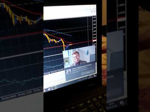forex.-fake-entry.-fake-forex-signals