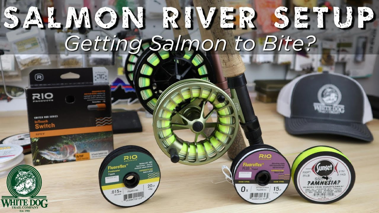 My Salmon River Setup - How I get Salmon to Bite Sometimes