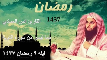 القارئ أنس العمادي  ما تيسر من سورة التوبة  من تراويح ليلة 9 رمضان 1437 هـ