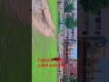 good short