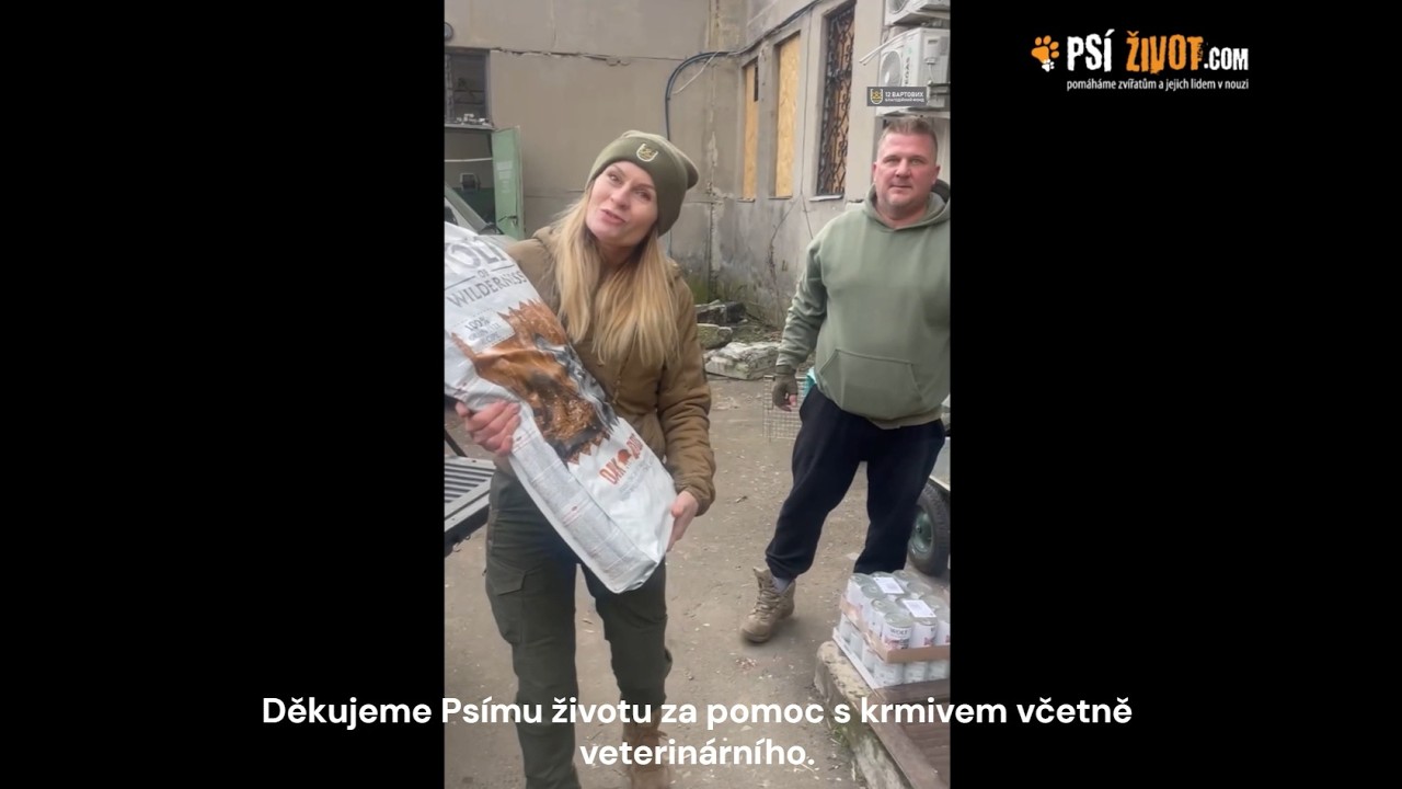 Čtyři roky pomoci na Ukrajině