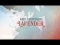 Ray LaMontagne - Lavender (Audio)