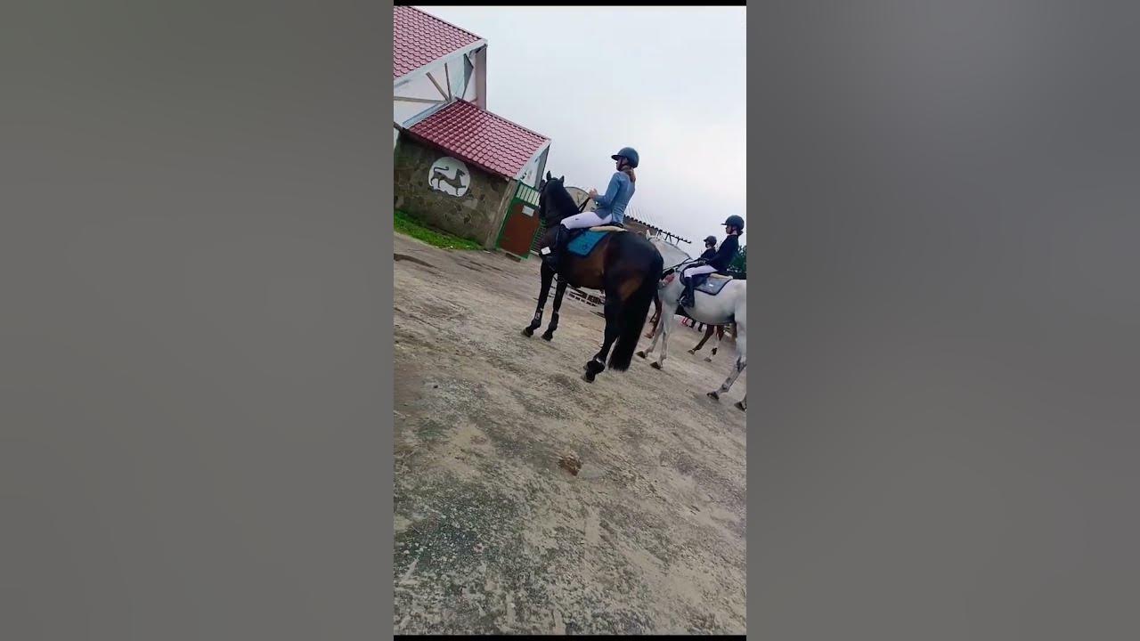 конно спорт. - YouTube