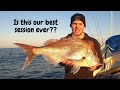 How to catch SNAPPER like THESE!! - Is this our best snapper session ever?