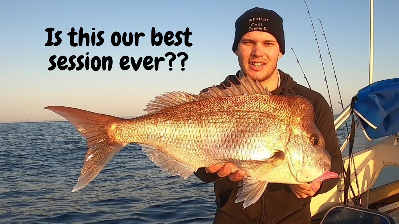 How to catch SNAPPER like THESE!! - Is this our best snapper