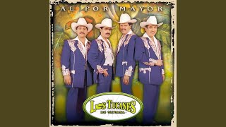 Te Creo Todo - Los Tucanes de Tijuana