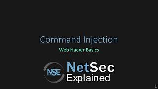 Web Hacker Basics 03 (Command Injection) screenshot 2