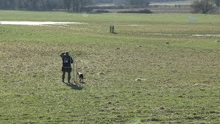 Download Lagu Mark Banham with Taff, at the English Nursery Final, Castle Rising, Norfolk 2018 MP3 Download Lagu Mark Banham with Taff, at the English Nursery Final, Castle Rising, Norfolk 2018 MP3
