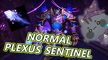 Normal Plexus Sentinel || Frost Mage PoV || Gray Parses Only vs Manaforge Omega