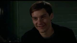 Peter Talks With Mj - Spider-Man -1- 2002 - Scene In Hindi