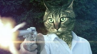 Kitty Photoshop Fun