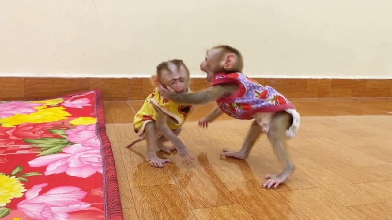 Most Happily Twin Ronaldo Playful & Fun With Selena