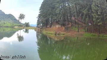 سورة الزمر ..القارئ بدر البشر..