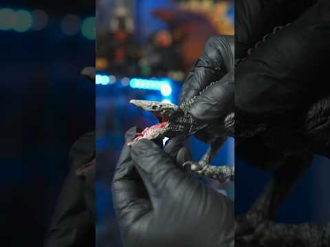 【HIYAtoys】Skull Devil ASMR