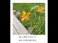 ああ、なんていうことなのあなたはとうとう恋してしまったのだわきっとそうよ(Ah Nante)